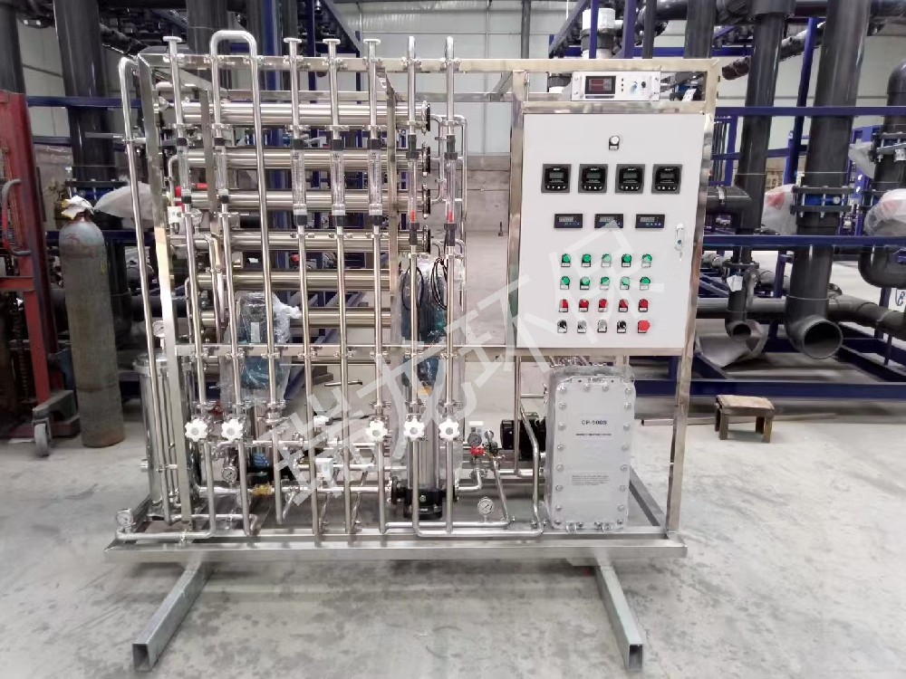 瑞龍環(huán)保純化水案例-0.5T二級反滲透+EDI純化水 瑞龍環(huán)保純化水案例-0.5T二級反滲透+EDI純化水